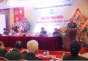 Đại hội đại biểu Hội Hỗ trợ khắc phục hậu quả bom mìn Việt Nam lần thứ II